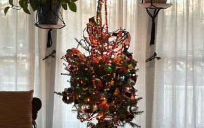 Staying Connected During the Holidays: Finding Ourselves and Each Other Through Tradition